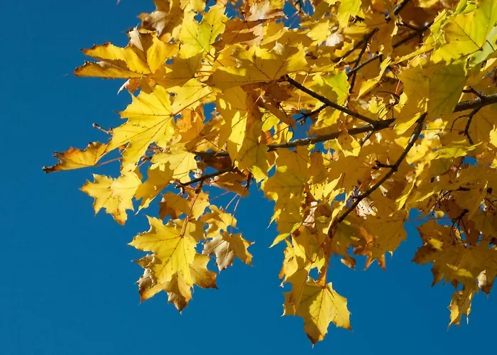 Apartmán Haus Laimbauer