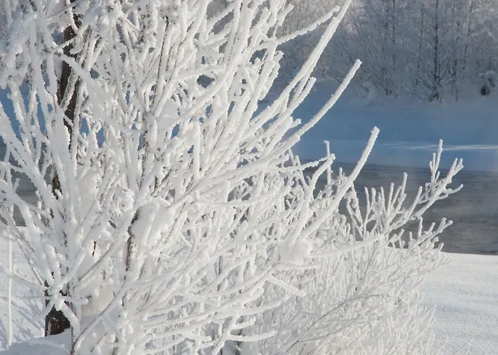 Haus Laimbauer بوخن