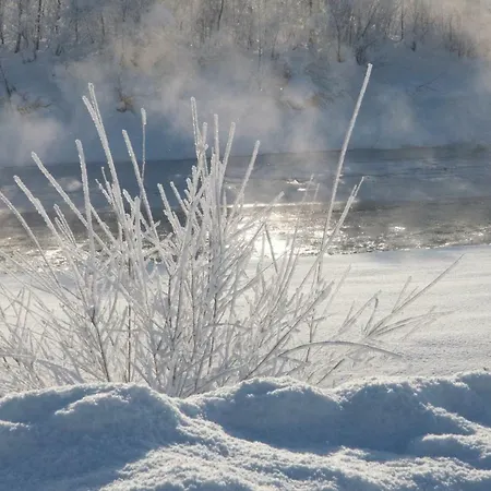 Haus Laimbauer Apartment