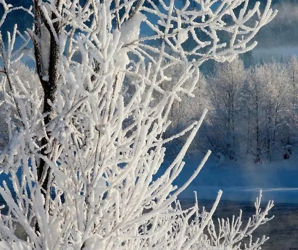 Haus Laimbauer * Kirchdorf in Tirol