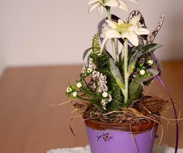 Haus Laimbauer * Kirchdorf in Tirol